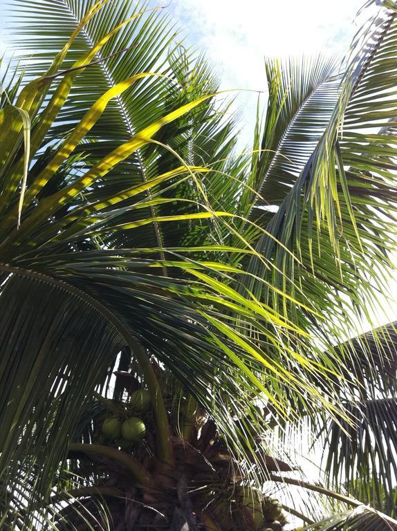 Fare Suisse Tahiti - Guesthouse Papeete  Exterior photo